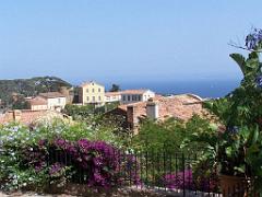 183 D23 BORMES LES MIMOSAS 1_000046